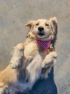 Kennedy - Application Limit Exceeded