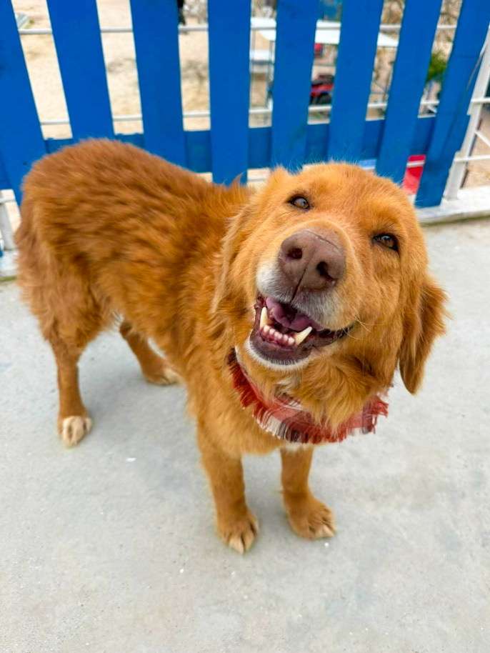 *ADOPTED* <br> October 