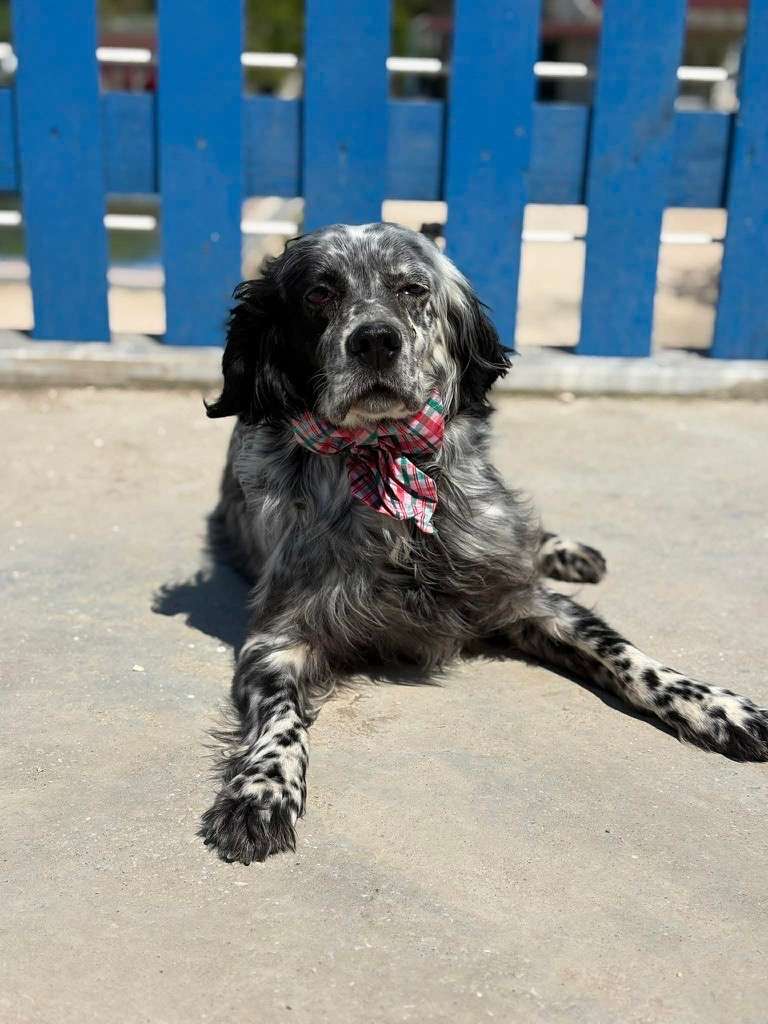 Efnan