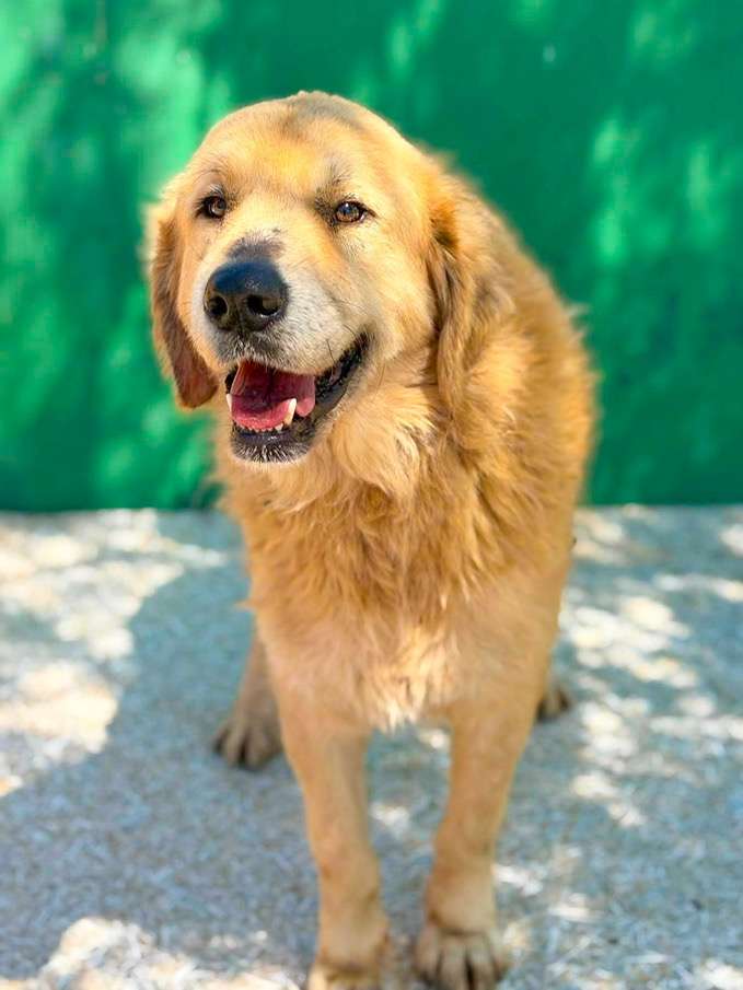 Barnaby