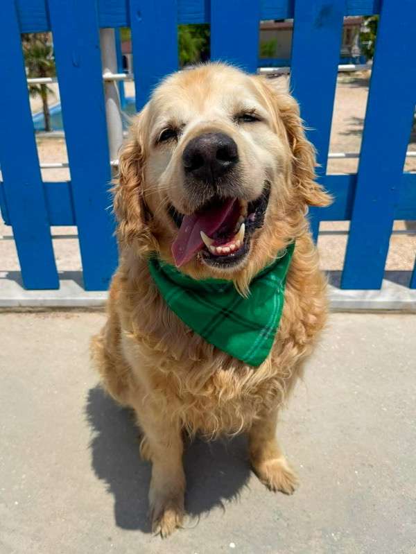 Barney