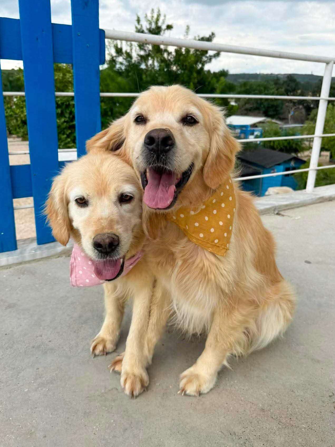 Dwight & Andi