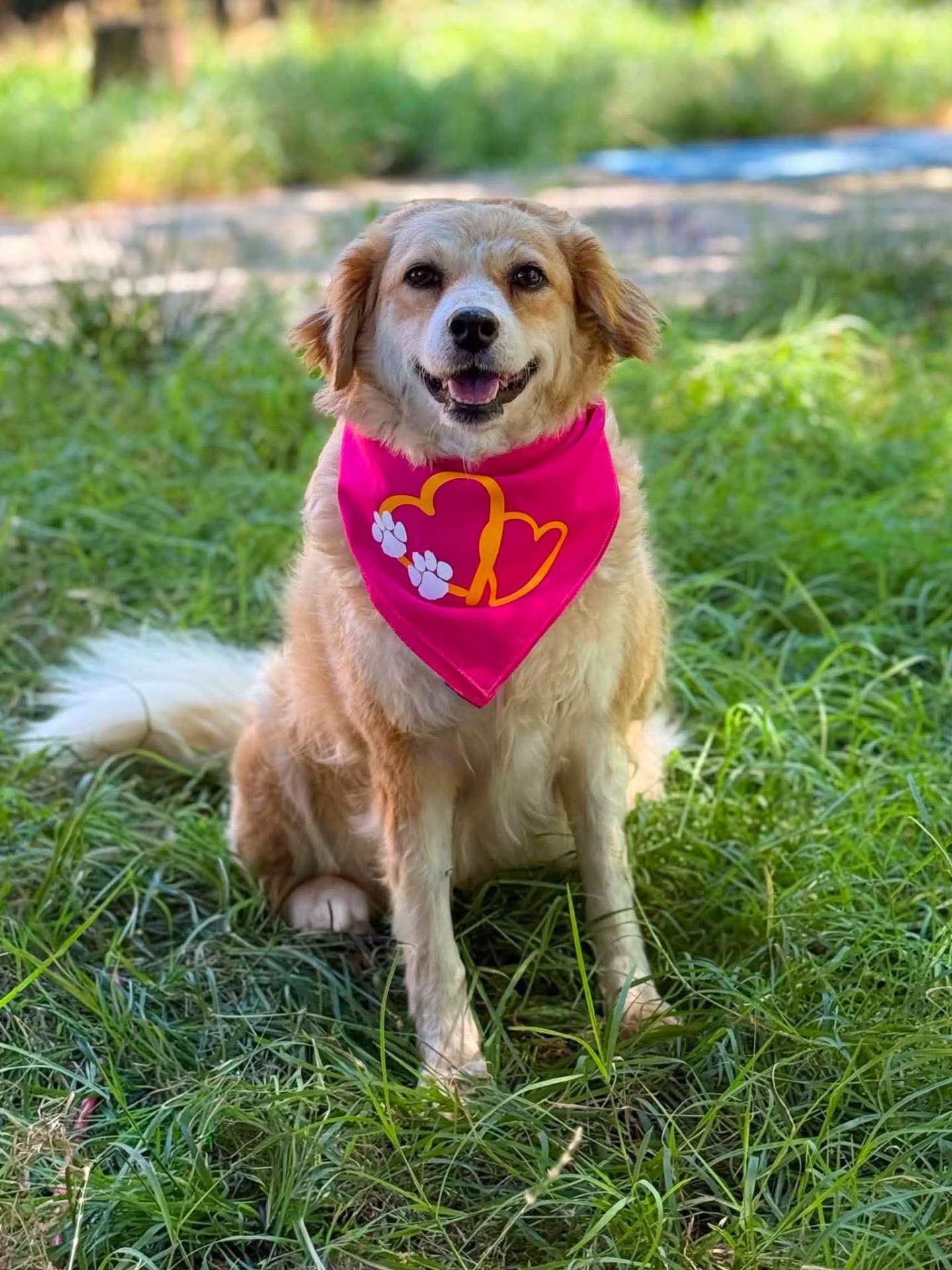 Goldie